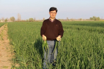 Soğana tələbat region ölkələrində bu il də yüksək olacaq - Ekspert