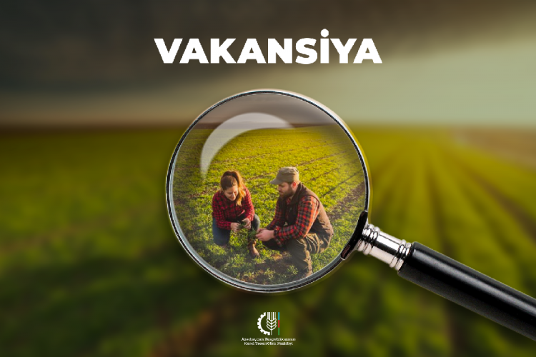 Kənd Təsərrüfatı Nazirliyi 432 nəfəri işə götürəcək
