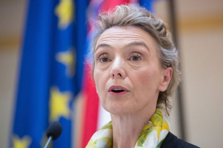 Xorvatiyanın xarici işlər naziri Azərbaycana gələcək