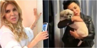 İtinin tapılması üçün "Səni axtarıram"a müraciət etdi - VİDEO