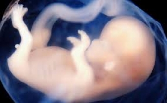 <b>Tanınmış müğənnimiz süni mayalanma etdirəcək - <span style="color:red;">HƏKİMƏ MÜRACİƏT </b> 