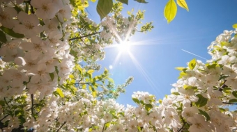 Temperatur nə vaxt yüksələcək? - Nazirlikdən <span style="color:red;">AÇIQLAMA 