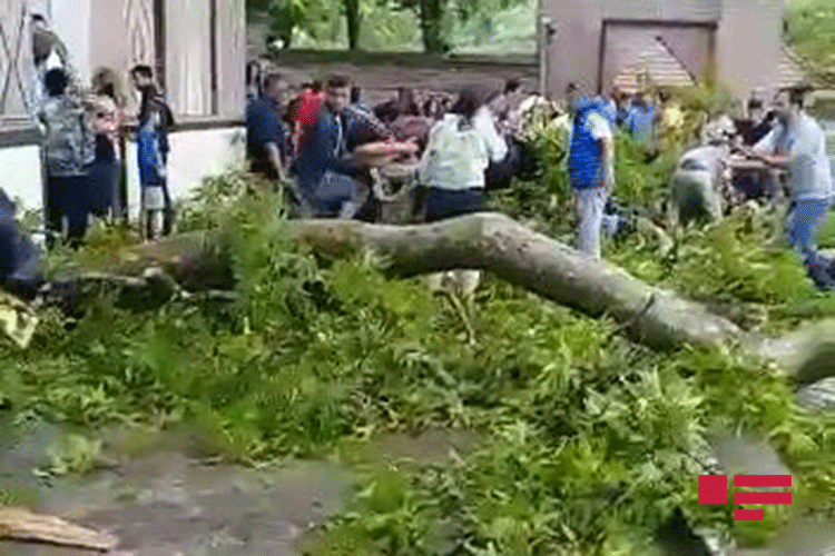 Şəki Xan Sarayında yaralanan şəxs xəstəxanadan buraxıldı