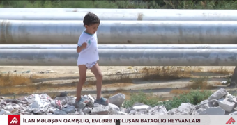 Azərbaycanda ilanlarla yaşayan insanlar - <span style="color:red;">VİDEO 