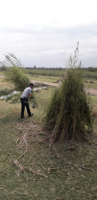 Ağstafada külli miqdarda narkotik məhv edildi