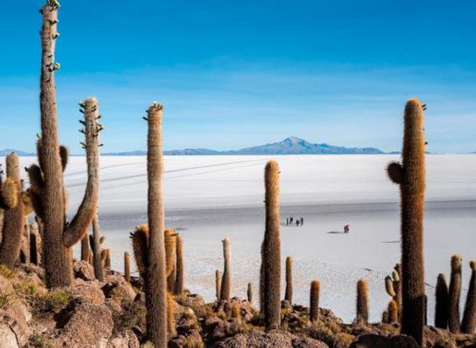 “NATIONAL GEOGRAPHIC”in  ən yaxşı şəkilləri - FOTOLENT