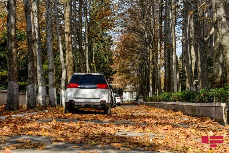 Sabah hava necə olacaq? - PROQNOZ