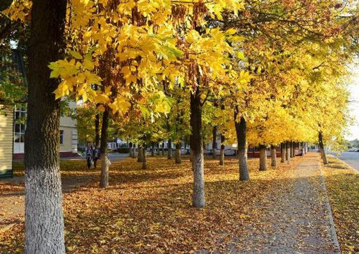  İstirahət günlərinin hava proqnozu açıqlanıb