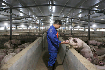 Donuza baxan ilin ən varlı milyarderi oldu