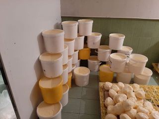 Beyləqandakı süd məhsulları müəssisəsinin fəaliyyəti məhdudlaşdırıldı - SƏBƏB