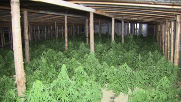 Bir aydır axtarışda olan şəxs saxlanıldı