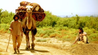 “Çölçü” Hindistanda mükafat aldı
