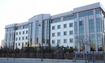 Qanunsuz mərc oyunları təşkil edənlər yaxalandı