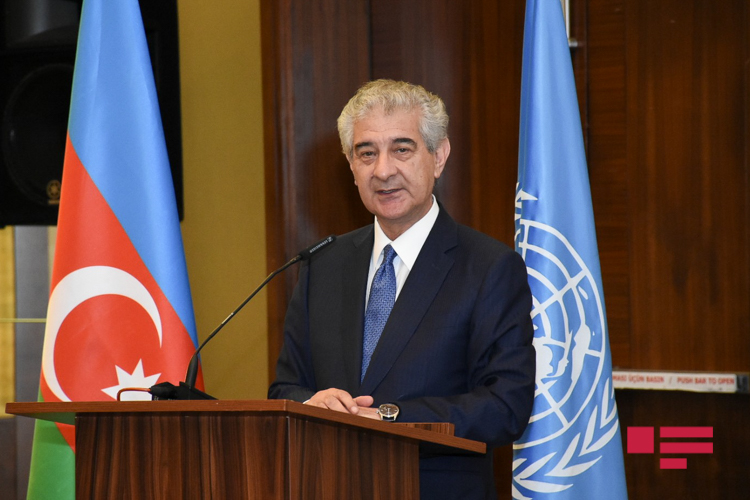 "Azərbaycan reallıqlarının üzərinə kölgə salmağa çalışırlar" - <span style="color:red;">ƏLİ ƏHMƏDOV 