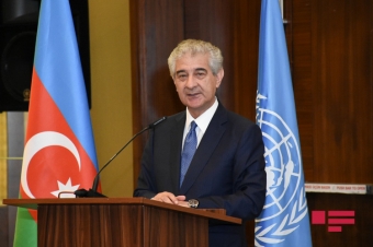 "Azərbaycan reallıqlarının üzərinə kölgə salmağa çalışırlar" - <span style="color:red;">ƏLİ ƏHMƏDOV 