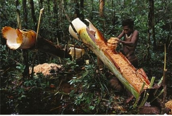 İnsan əti yeməyin rəsmən qadağan edildiyi yer - <span style="color:red;">Lent.az-da yeni LAYİHƏ 