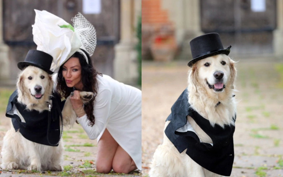 Özünə kişi tapa bilməyən model itə ərə gedir