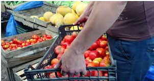 Hava şəraiti kənd təsərrüfatında məhsuldarlığı aşağı salıb