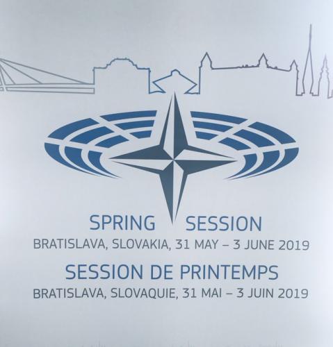 Azərbaycan nümayəndə heyəti NATO Parlament Assambleyasının yaz sessiyasında