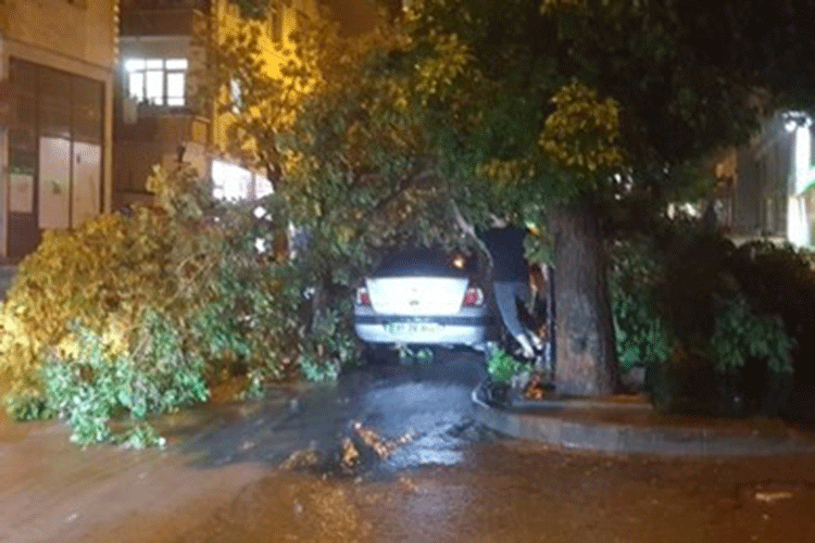 Türkiyədə sel can aldı
