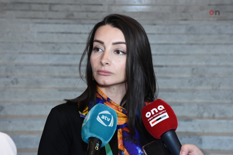 Azərbaycan XİN: "Həqiqətən də Ermənistan rəhbərliyinin məntiqini anlamaq çətindir"