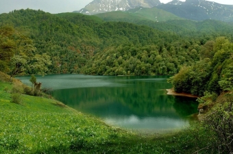 <b>Milli parklarda uşaqlar üçün <span style="color:red;">YENİ GUŞƏLƏR  yaradılacaq</b>