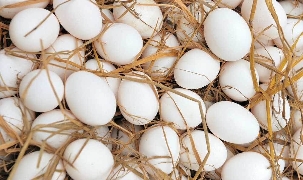 <b>Yumurta bahalaşdı?-<span style="color:red;"> AÇIQLAMA </b>