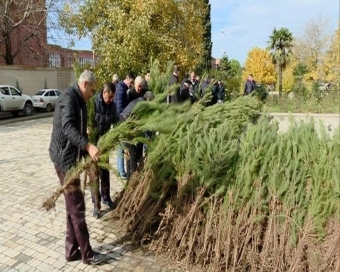 Nazirlik müxtəlif cinsli ağac tingləri paylayacaq - <span style="color:red;">Bu ərazilərdə 
