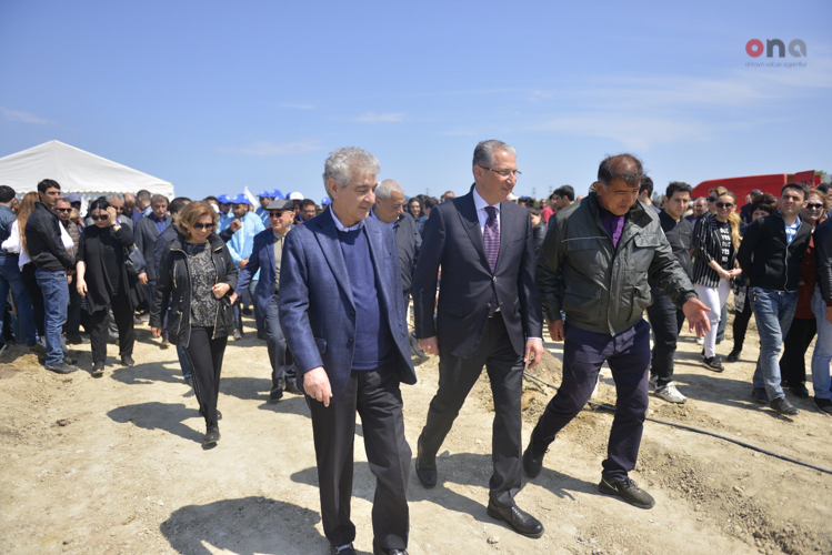 YAP-çılar ağac əkdilər