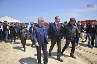 YAP-çılar ağac əkdilər