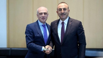Gürcüstan və Türkiyə xarici işlər nazirləri görüşüb
