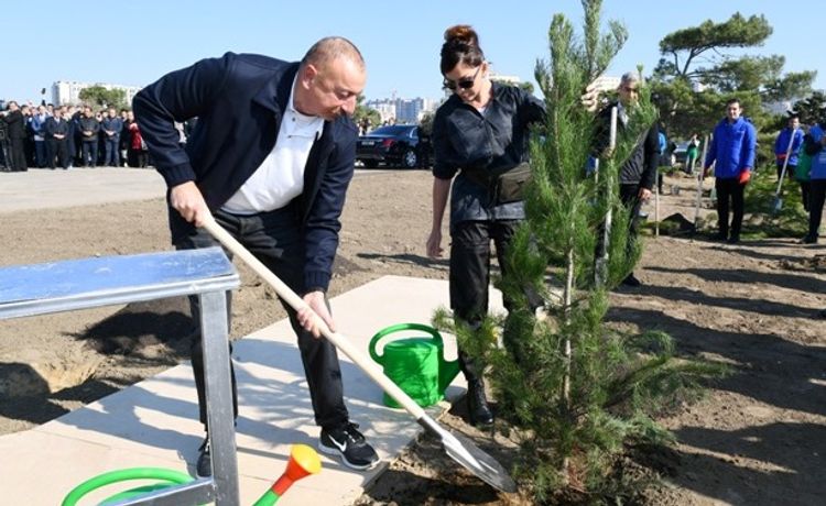 Prezident İlham Əliyev və xanımı ağacəkmə aksiyasında iştirak edib - FOTOLENT