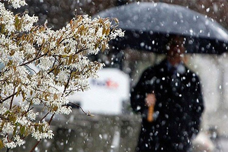 Sabah Azərbaycanda qar yağacaq - PROQNOZ