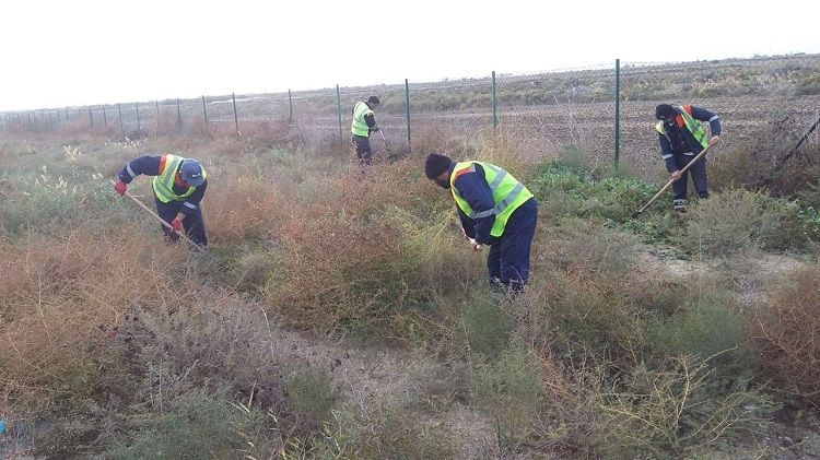 FHN yanğın potensiallı ərazilərdə təmizlik işini davam etdirir