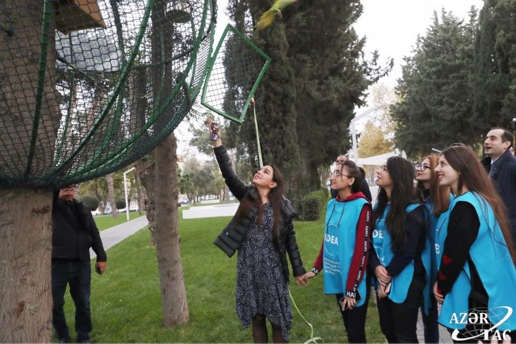 Leyla Əliyevanın iştirakı ilə Bakıda tutuquşular məskunlaşdırılır - FOTOLENT