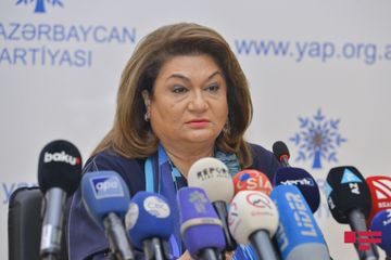 Qadınlara qarşı zorakılıqla bağlı xüsusi arayış hazırlandı
