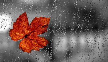 İstirahət günlərinin havası açıqlandı - PROQNOZ