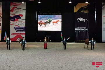 Qarabağ atları Moskvada Beynəlxalq At Sərgisində - FOTOLENT