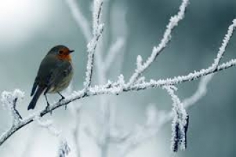 İstirahət günləri səyahətə gedənlərin <span style="color:red;">NƏZƏRİNƏ:  Bu ərazilərə qar yağa bilər