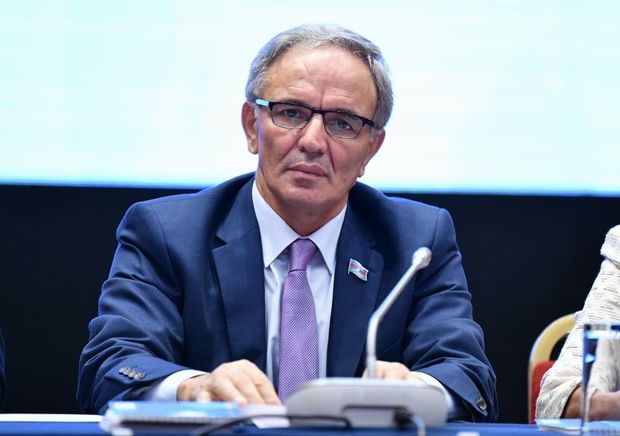 Əflatun Amaşov: "ATƏT-in bəyanatı təəssüf doğurur"