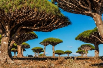 Dünyanı heç belə görmüşdünüz? - <span style="color:red;">FOTOLAR 