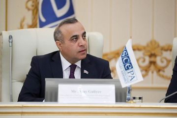 Azay Quliyev beynəlxalq təşkilatlara təşəkkür etdi