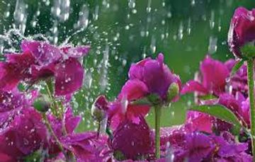 Sabahın hava PROQNOZU