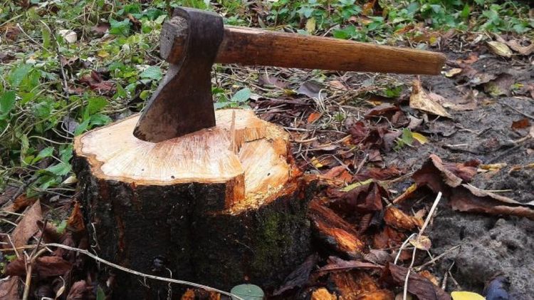 Bu bələdiyyəyə akt tərtib olundu - SƏBƏB