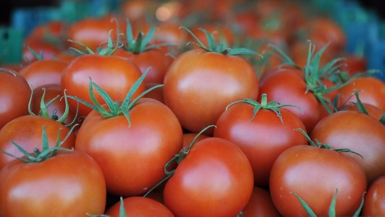 Rusiyalı fermerlərdən Azərbaycan pomidoru ilə bağlı TƏLƏB