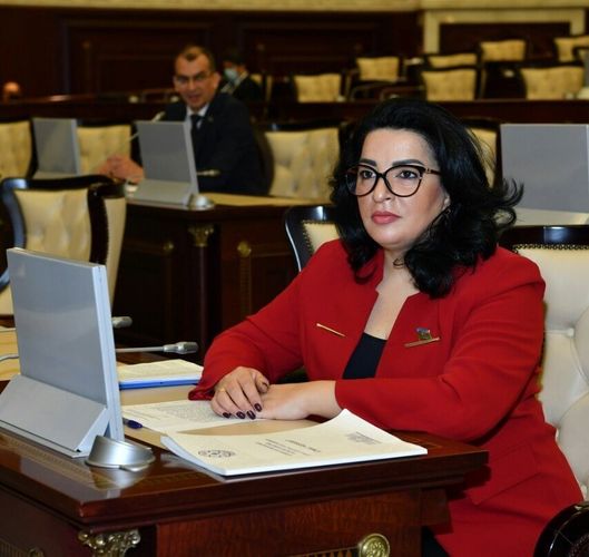 Millət vəkili hökumətə 4 problemlə bağlı müraciət etdi