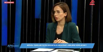 E-sosial.az saytında işsizlərin qeydiyyatı niyə çətinləşmişdi? - Rəsmi şəxs DANIŞIR