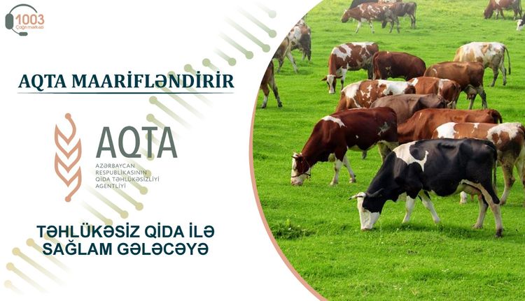 Heyvanlar necə peyvəndlənməlidir? - TÖVSİYƏLƏR