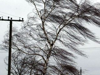 Sabah güclü külək əsəcək - PROQNOZ