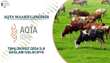 Heyvanlar necə peyvəndlənməlidir? - TÖVSİYƏLƏR